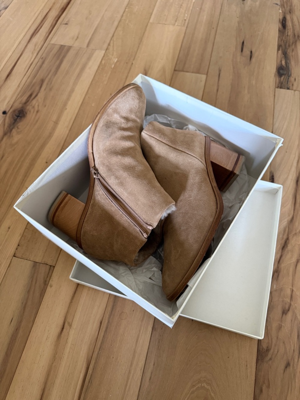 Cordani Chestnut Suede Heeled Ankle Boots